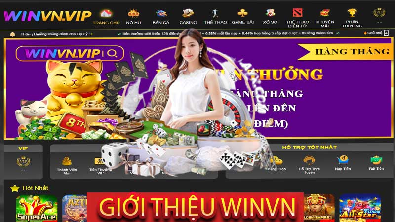 Giới thiệu về Winvn